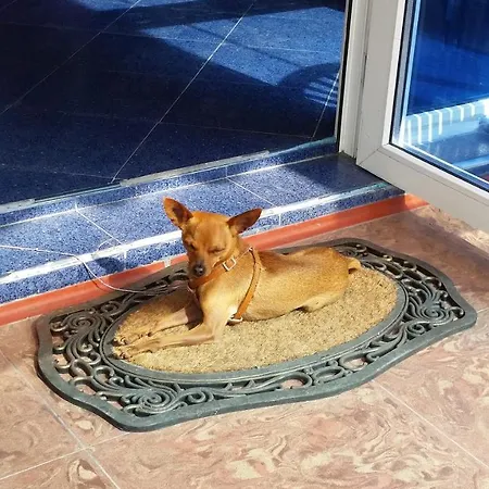 Dara Хотел Приморско